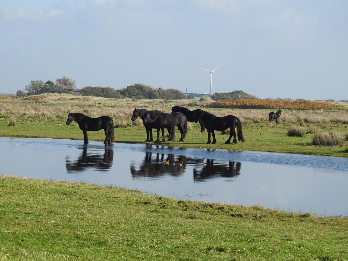 De Hut, In Natuurgebied En Vlakbij Het Strand カラントスウオーフ エクステリア 写真
